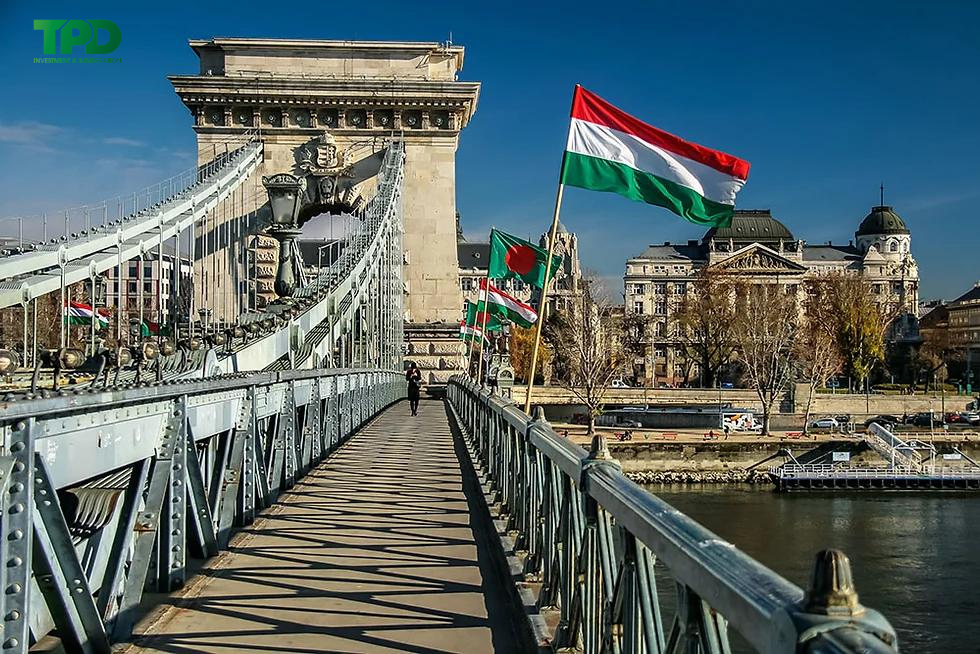 Chính sách thuế của Hungary