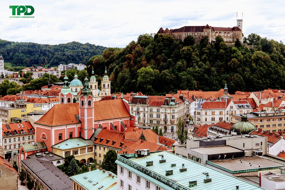 Những ngành trọng điểm làm nên sự phát triển của nền kinh tế slovenia