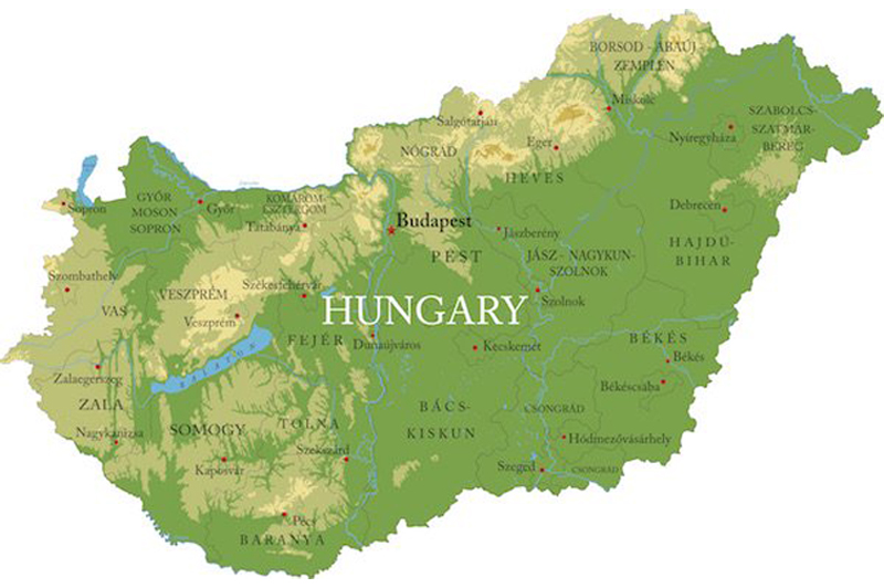 cuộc sống người việt ở hungary