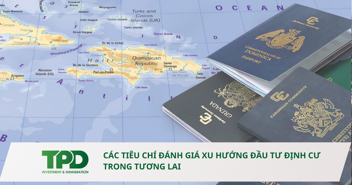 Đầu tư định cư