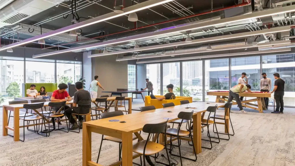 trường đại học ở uae