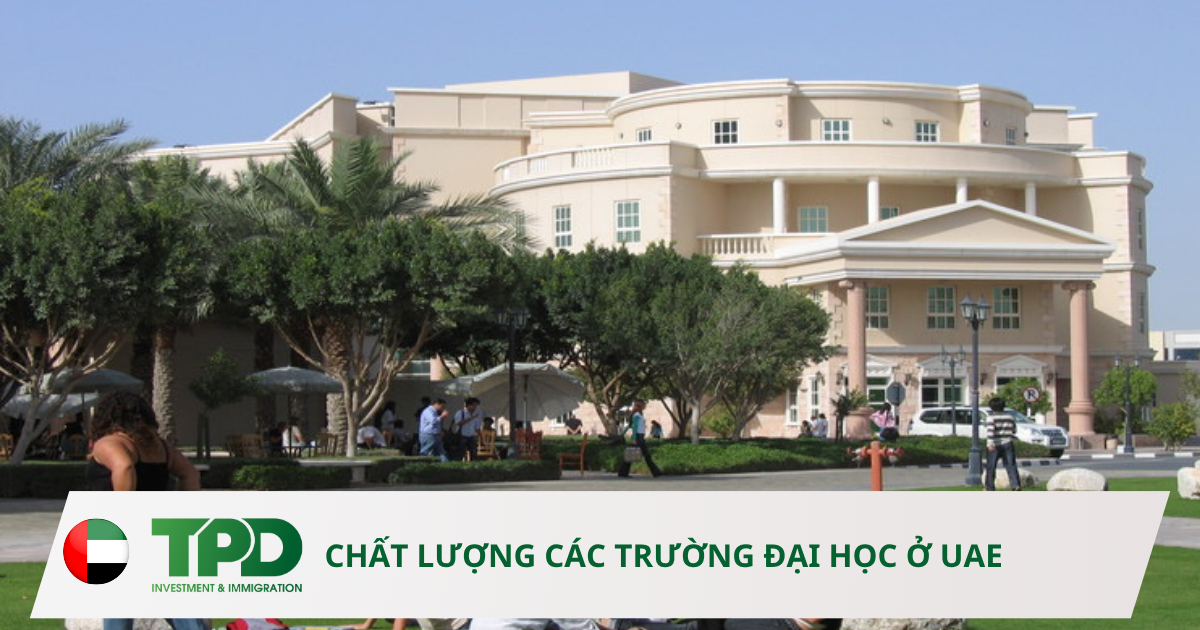 trường đại học ở uae