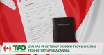 letter of support