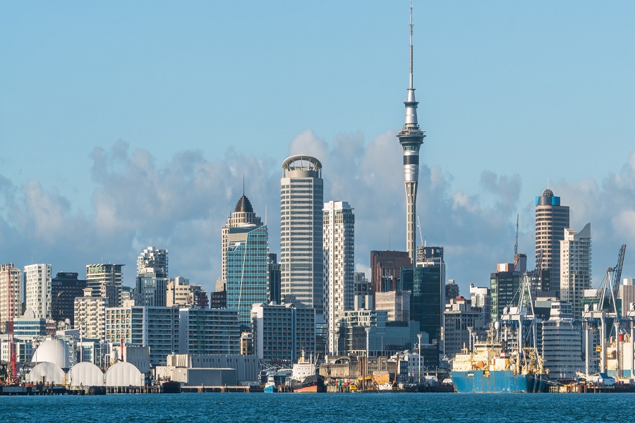 visa active investor plus new zealand