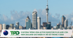 visa active investor plus new zealand