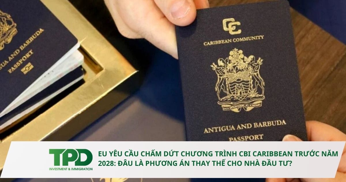 ĐẦU TƯ CBI